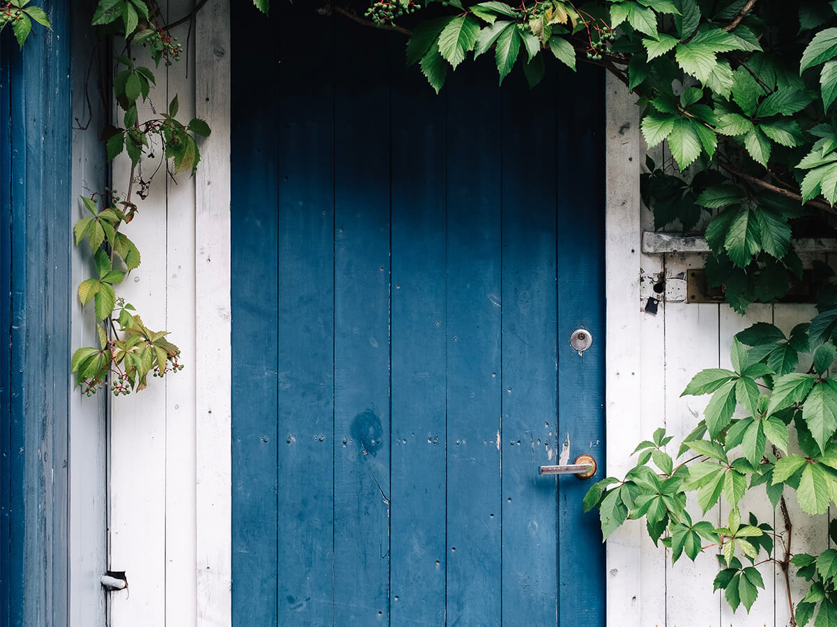 a blue door with vines growing outside the edges